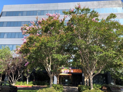 The building where the Idemitsu Americas Holdings office is located (San Jose, CA) (Photo: Business Wire)