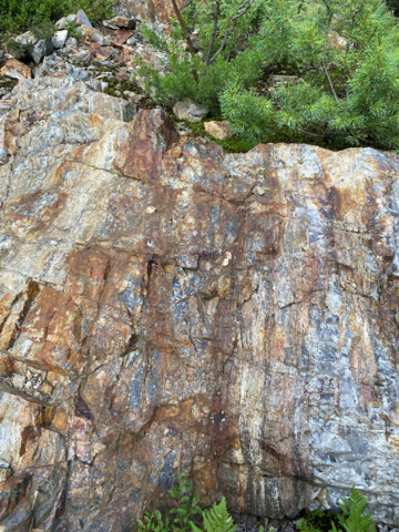 Picture 1: Lavallée Shear Zone, Showing No. 41 (Photo: Business Wire)