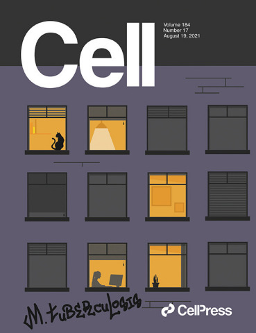 Image: Current cover of the journal Cell (Graphic: Business Wire)