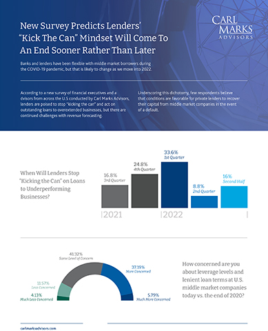 original Infographic representation of survey findings.