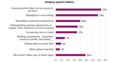 thumbnail Tactics companies are using to hedge against inflation - business executives were asked to choose all that apply. (Graphic: Business Wire)