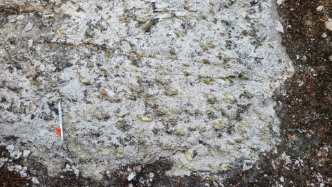 Figure 3: Main discovery. Spodumene-rich pegmatite, with aureole of Li-mica. (Graphic: Business Wire)