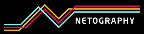 Netography Logo
