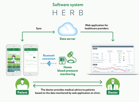 Overview of the digital therapeutic intervention (HERB system) for essential hypertension. (Graphic: Business Wire)