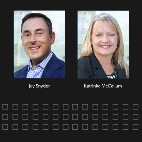 original Rimini Street Introduces Board Members Jay Snyder and Katrinka McCallum (Photo: Business Wire)