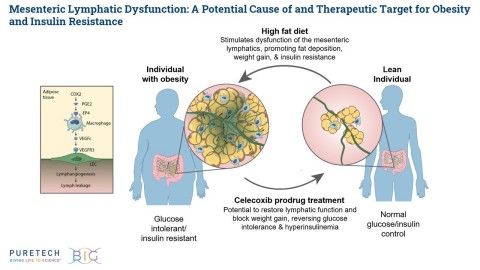 PureTech Health today announced the publication of a research paper in Nature Metabolism using its Glyph technology platform that showed - for the first time - that mesenteric lymphatic dysfunction may be a potential cause of and therapeutic target for obesity and insulin resistance. (Graphic: Business Wire)