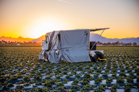 Advanced Farm TX Strawberry Harvester picking strawberries in the field. The company announced the close of a $25 million Series B funding round led by Catapult Ventures and including all of the Series A investors: Kubota Corporation, Yamaha Motor Corporation, and Impact Ventures. (Photo: Business Wire)