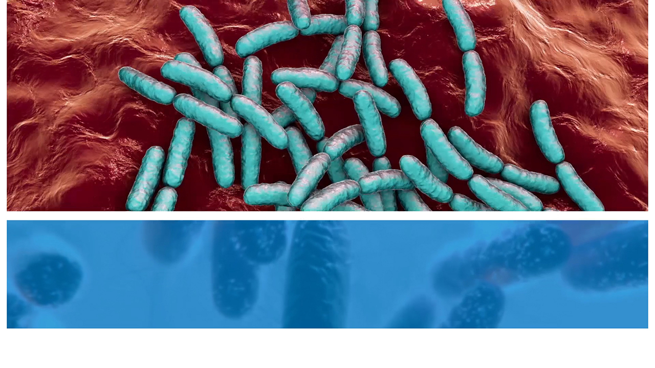 thumbnail Ferring Narrative Video