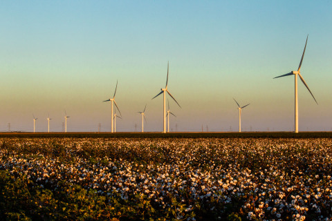 Old Settler & Cotton Plains Wind Projects (Photo credit: Apex Clean Energy)