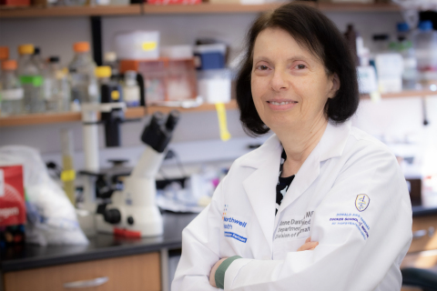 Anne Davidson, MBBS, professor in the Institute of Molecular Medicine at the Feinstein Institutes for Medical Research. (Credit: Northwell Health)