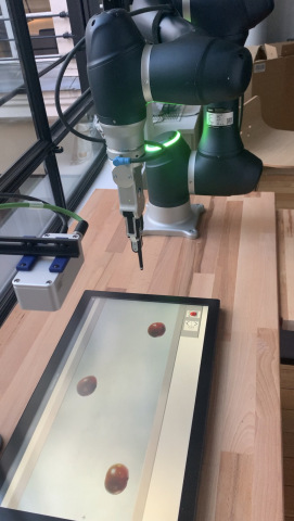 thumbnail GML Live-Ready AI Conveyor belt sorting with FRAMOS D435e Industrial Depth Camera (Photo: Business Wire)