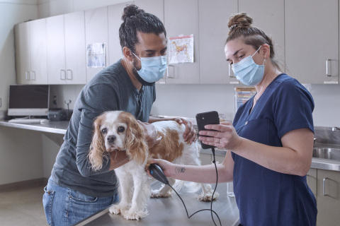 New iQ+ Vet Ultrasound in Companion Animal Setting (Photo: Business Wire)
