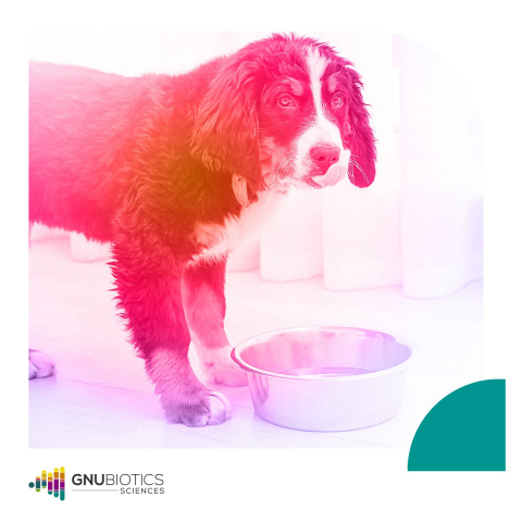 thumbnail (Photo: GNUBIOTICS)