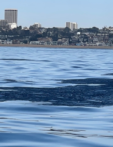 Photo of oil fouling the water in Newport Harbor, taken by Brian Blair, owner of plaintiff Blue Pacific Fisheries, on October 2, 2021. (Photo: Business Wire)