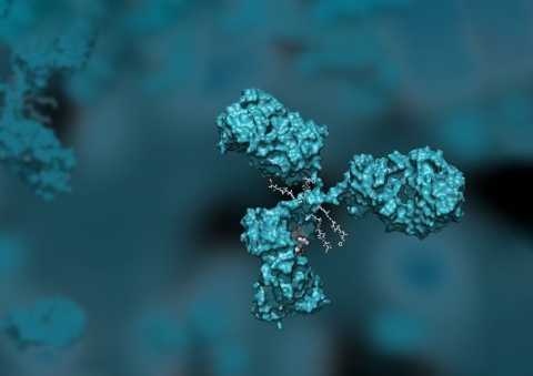 original Image of an Antibody Drug Conjugates (ADCs) enabling the targeted delivery of highly potent cytotoxic compounds to treat cancer. (Photo: Business Wire)