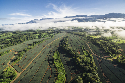 Fresh Del Monte Further Commits to Sustainable Agriculture Practices, Speaking at World Biodiversity Summit (Photo: Business Wire)