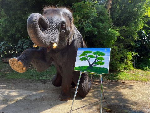 The Tree of Life is the world’s first-ever NFT art made by an elephant (Photo: Business Wire)