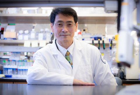 Haichao Wang, PhD has been awarded the Shock Society’s 2021 Scientific Achievement Award. (Credit: Feinstein Institutes)