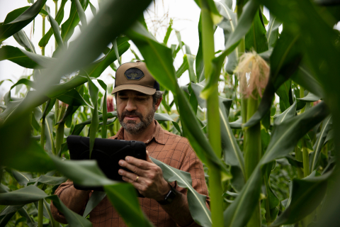 Farmer With Tablet in Cornfield (Photo: Business Wire)
