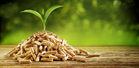 Sustainably sourced wood pellets produced by Enviva (Photo: Business Wire)