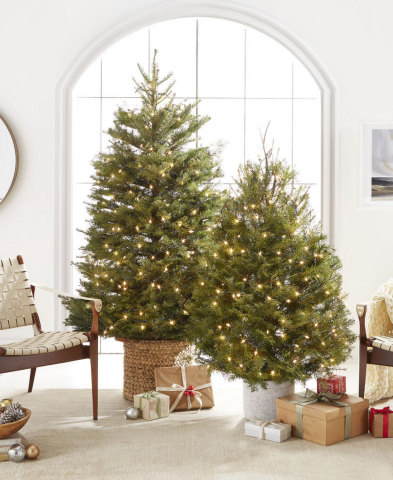 Find thoughtful gifts at every price point this holiday season at Macy's: International Christmas Innovation Fresh Cut Real Douglas Fir Tree, $89.00  (Photo: Business Wire)