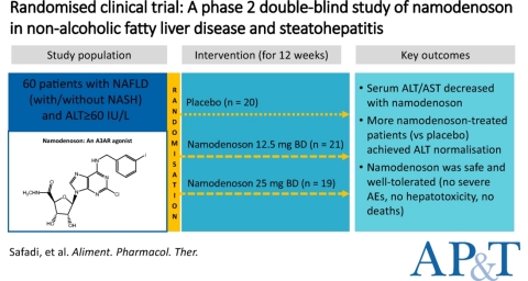 Positive Data from Phase IIa Can-Fite NASH Study Published in Leading Peer Reviewed Scientific Journal (Photo: Business Wire)