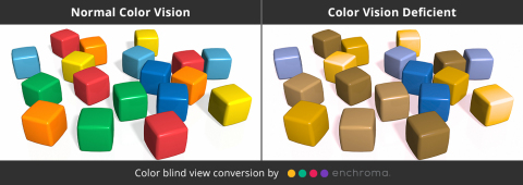 Standard Color Vision and Color Blind View @EnChroma