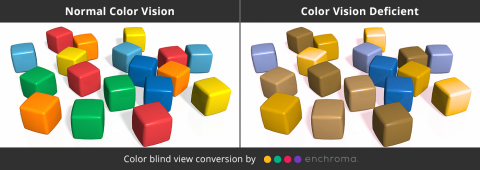 thumbnail Standard Color Vision and Color Blind View @EnChroma