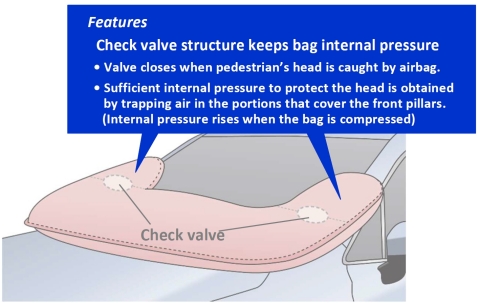 Features of pedestrian protection airbag (Graphic: Business Wire)