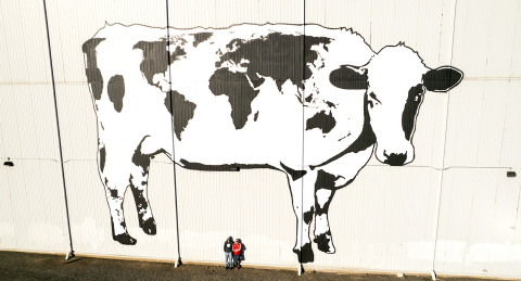 The 44-foot by 66-foot World Cow mural painted by Vermont-based artist DJ Barry is the largest of its kind in the world. (Photo: Business Wire)