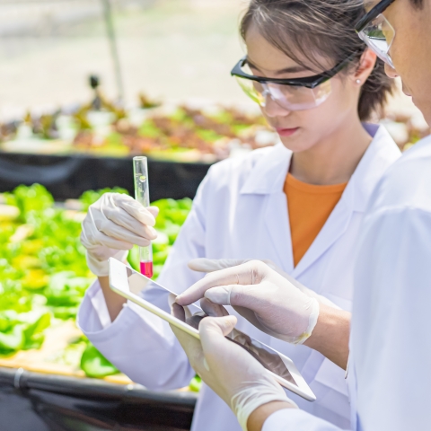 original 三菱商事生命科學株式會社將改由Rimini Street提供支援服務，以加速下一波數位化轉型和業務成長（照片：美國商業資訊）