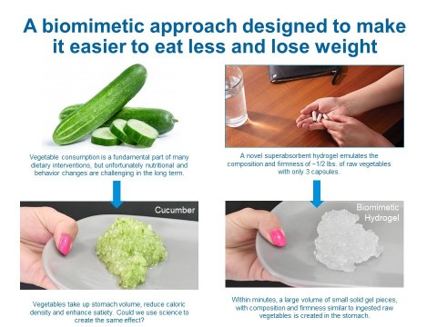 New paper describes the first superabsorbent hydrogel technology made from naturally derived building blocks designed to address obesity and gut related conditions by emulating compositional and mechanical properties of raw vegetables. (Photo: Business Wire)