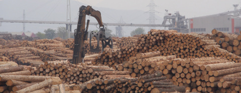 HS Timber factory in Sebes, Romania (Photo: Business Wire)
