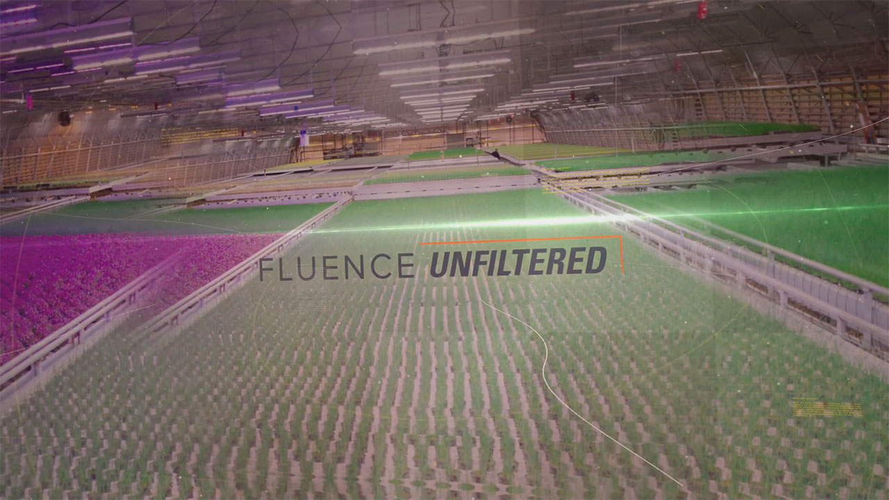 Fluence by OSRAM premiered “Fluence Unfiltered,” a conversation platform for the world’s most innovative minds in horticulture science and technology. In the webcast’s first episode, Fluence CEO David Cohen discusses the trials and successes of Michigan cultivator Michael Ward in building and launching Harbor Farmz in the state’s nascent cannabis industry.