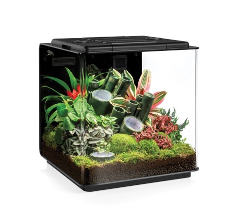 biOrb EARTH is a fully automatic Vivarium that includes the latest SunLike LED technology from Seoul Semiconductor (Photo: Business Wire)