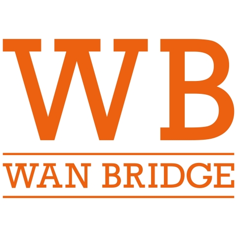Wan Bridge Logo