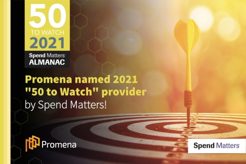 Istanbul based Promena, Ranked Among Top 50 Global Procurement Providers (Graphic: Business Wire)