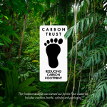 SST_2021_1102_carbon-footprint_c.jpg