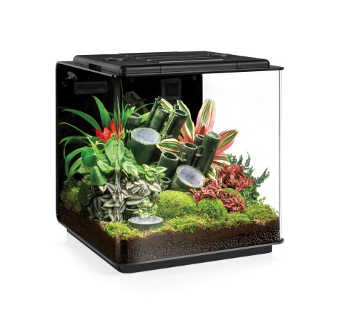 thumbnail biOrb EARTH is a fully automatic Vivarium that includes the latest SunLike LED technology from Seoul Semiconductor (Photo: Business Wire)