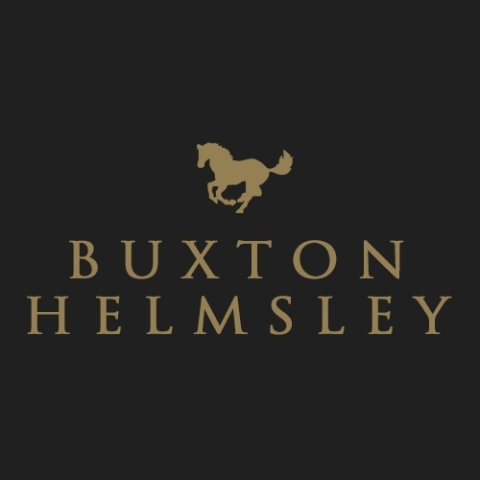 The Buxton Helmsley Group, Inc. Logo
