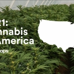 Weedmaps Data Report, 2021 Cannabis in America Cannabis Media & PR