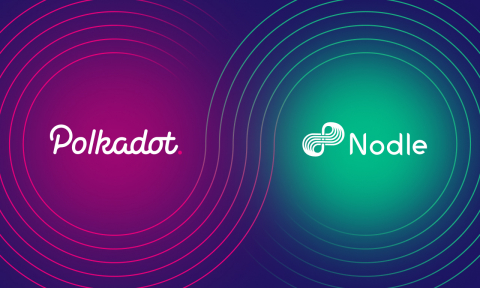 Nodle is a decentralized IoT (Internet of Things) network on Polkadot providing secure, low-cost connectivity, and data liquidity to connect billions of IoT devices worldwide. (Graphic: Business Wire)