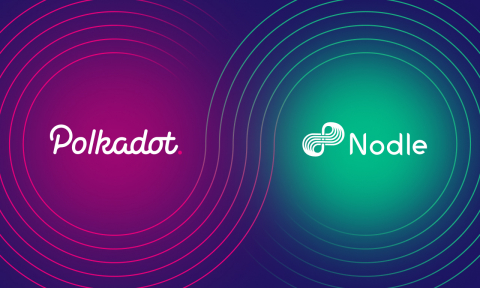 thumbnail Nodle is a decentralized IoT (Internet of Things) network on Polkadot providing secure, low-cost connectivity, and data liquidity to connect billions of IoT devices worldwide. (Graphic: Business Wire)