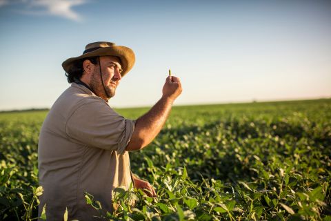 Farmer in a soybean field (Photo: Business Wire)