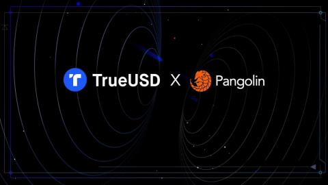 Joining Pangolin V2's First Liquidity Pools, TrueUSD Takes the Growth of Avalanche to the Next Level (Graphic: Business Wire)