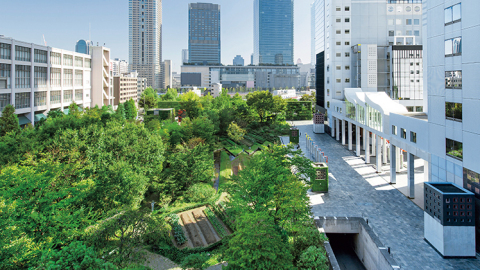 thumbnail Application of Sekisui House’s Gohon no ki concept to community development (Photo: Business Wire)