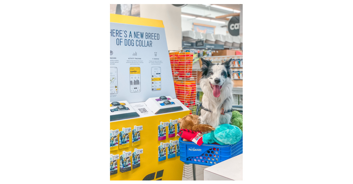 Does Petsmart Have A Dog Tag Machine