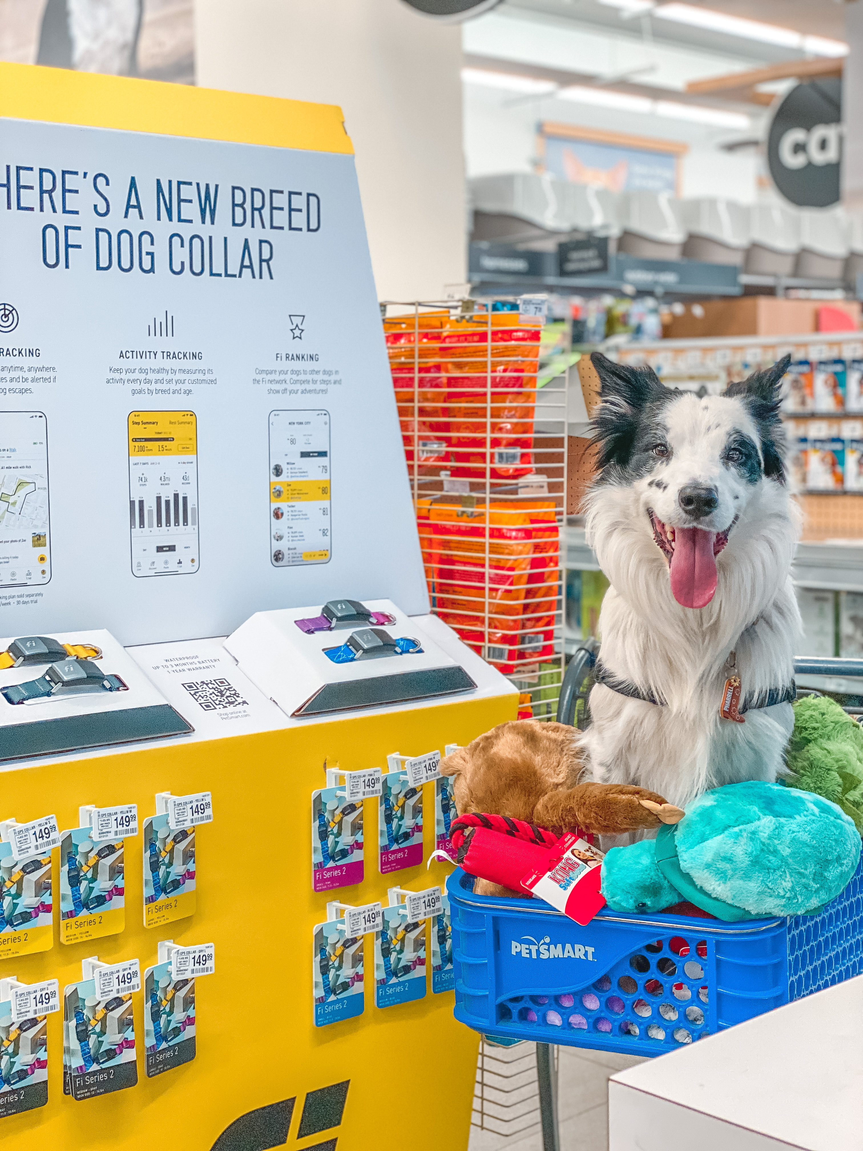 Pet tracker sale petsmart