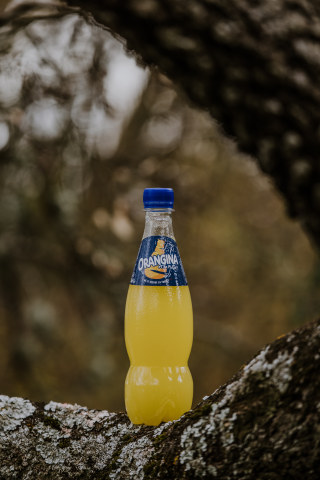 Orangina 100% plant-based PET bottle prototype, excluding cap and label (Photo: Business Wire)