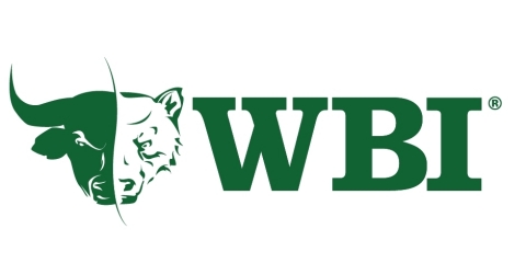 WBI Investments Logo